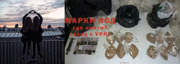 крисы Алексин