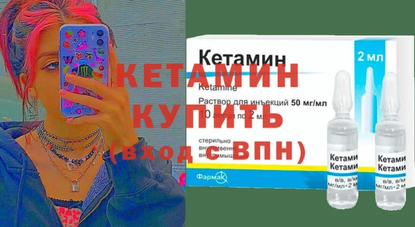 крисы Алексин