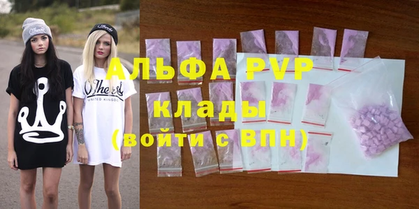 крисы Алексин