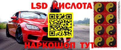 прущая мука Будённовск