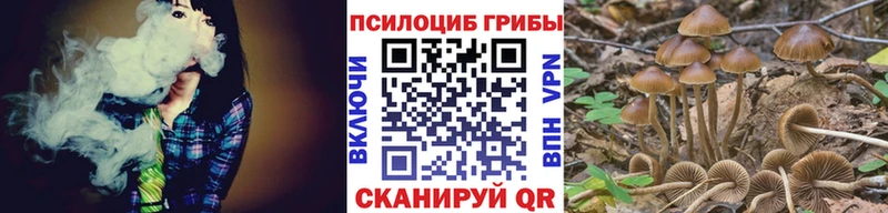 Псилоцибиновые грибы Magic Shrooms  Лабинск 