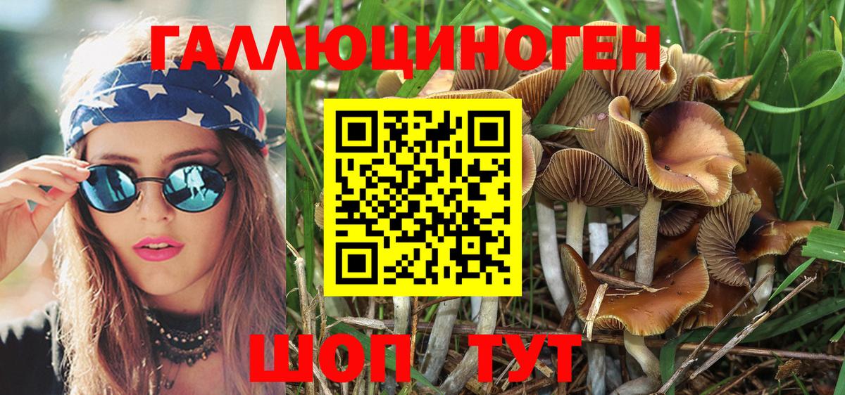 Псилоцибиновые грибы Magic Shrooms  Вход с VPN  Лабинск 